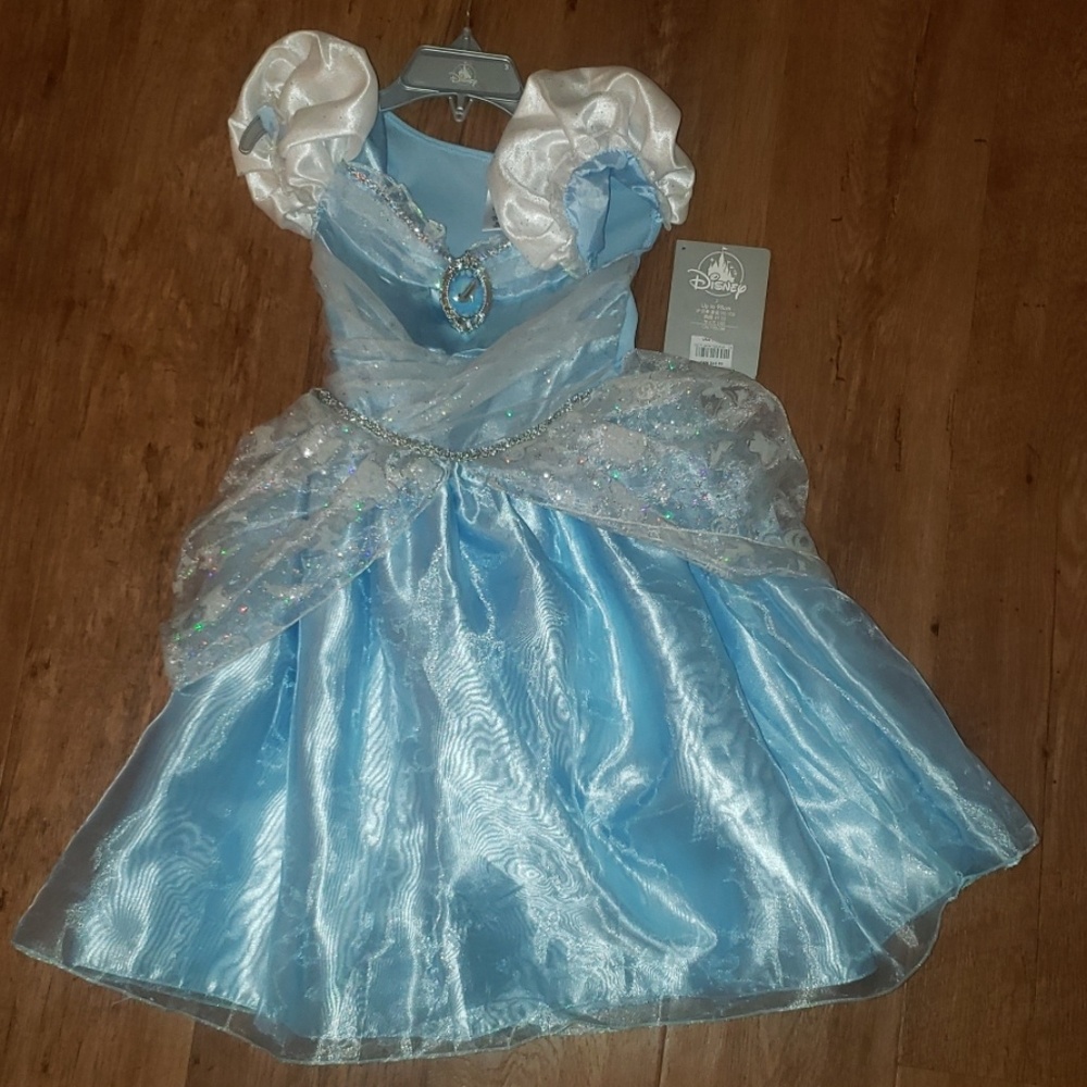 New Disney Princess Dress- tags detaches